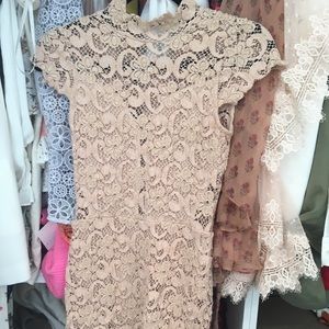Nightcap Clothing Dixie Lace Mini